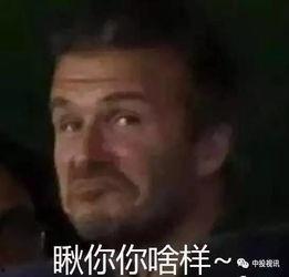 娱乐吃瓜酱爸爸,揭秘娱乐圈背后的那些事儿